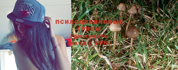 спиды Алзамай