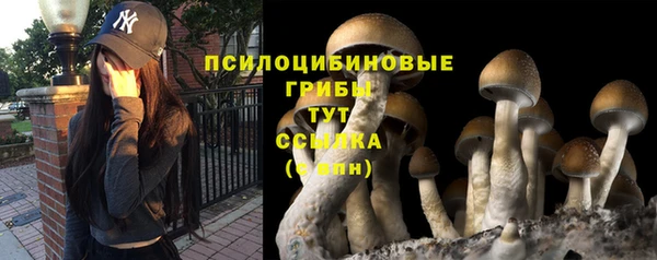 меф Алексин