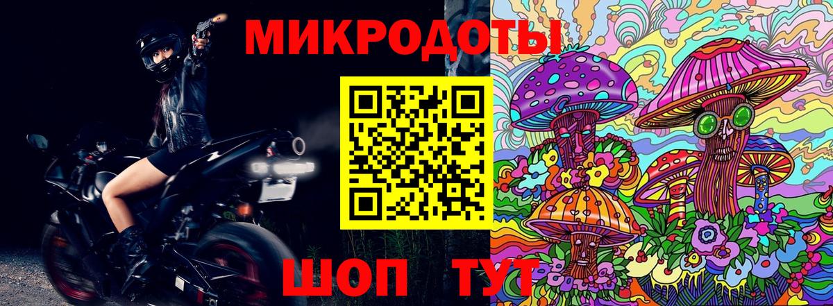 Псилоцибиновые грибы MAGIC MUSHROOMS Кольчугино