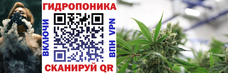 продажа наркотиков Кольчугино kraken онион площадка клад Конопля сатива