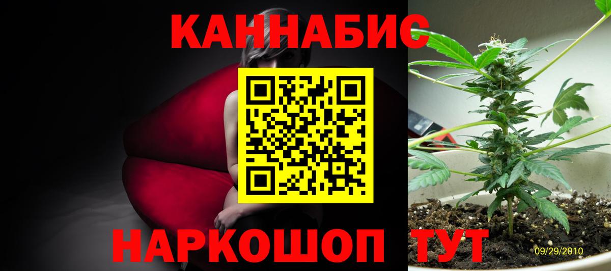 Бошки Шишки MAZAR Кольчугино